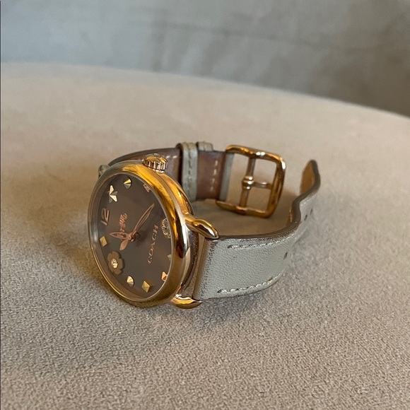 Coach Taupe Leather Strap Watch with Grey Sunray Dial - Picture 11 of 12